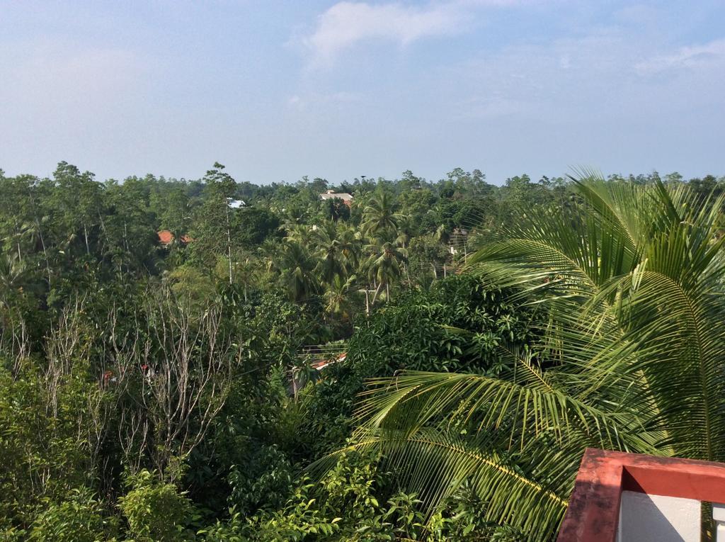 Kurumba Hills Gonagala Eksteriør bilde